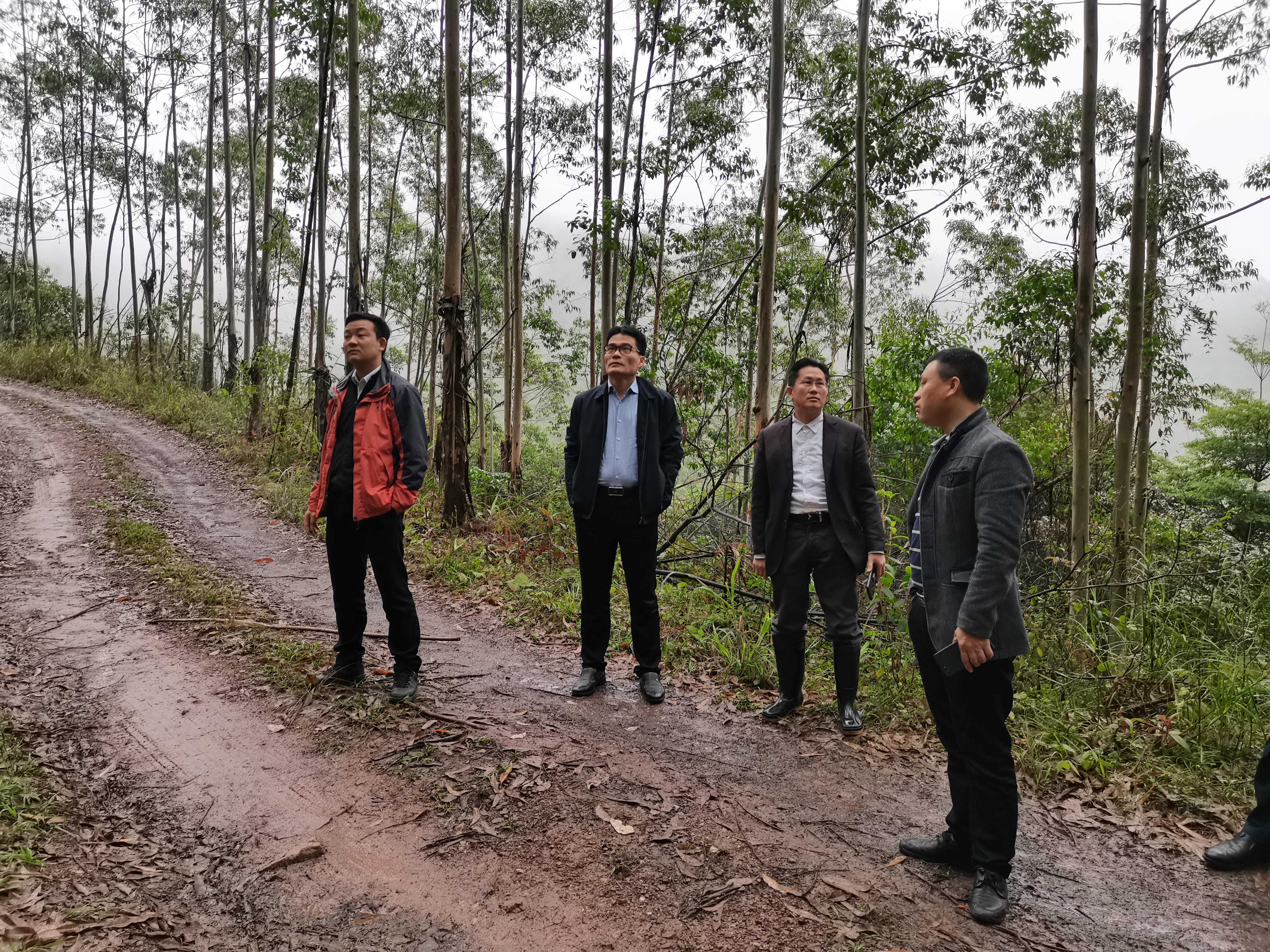 ��ƽ��һ�и���ƽ�� ���ֳ���չ�ֵ��չ��Ӳ�