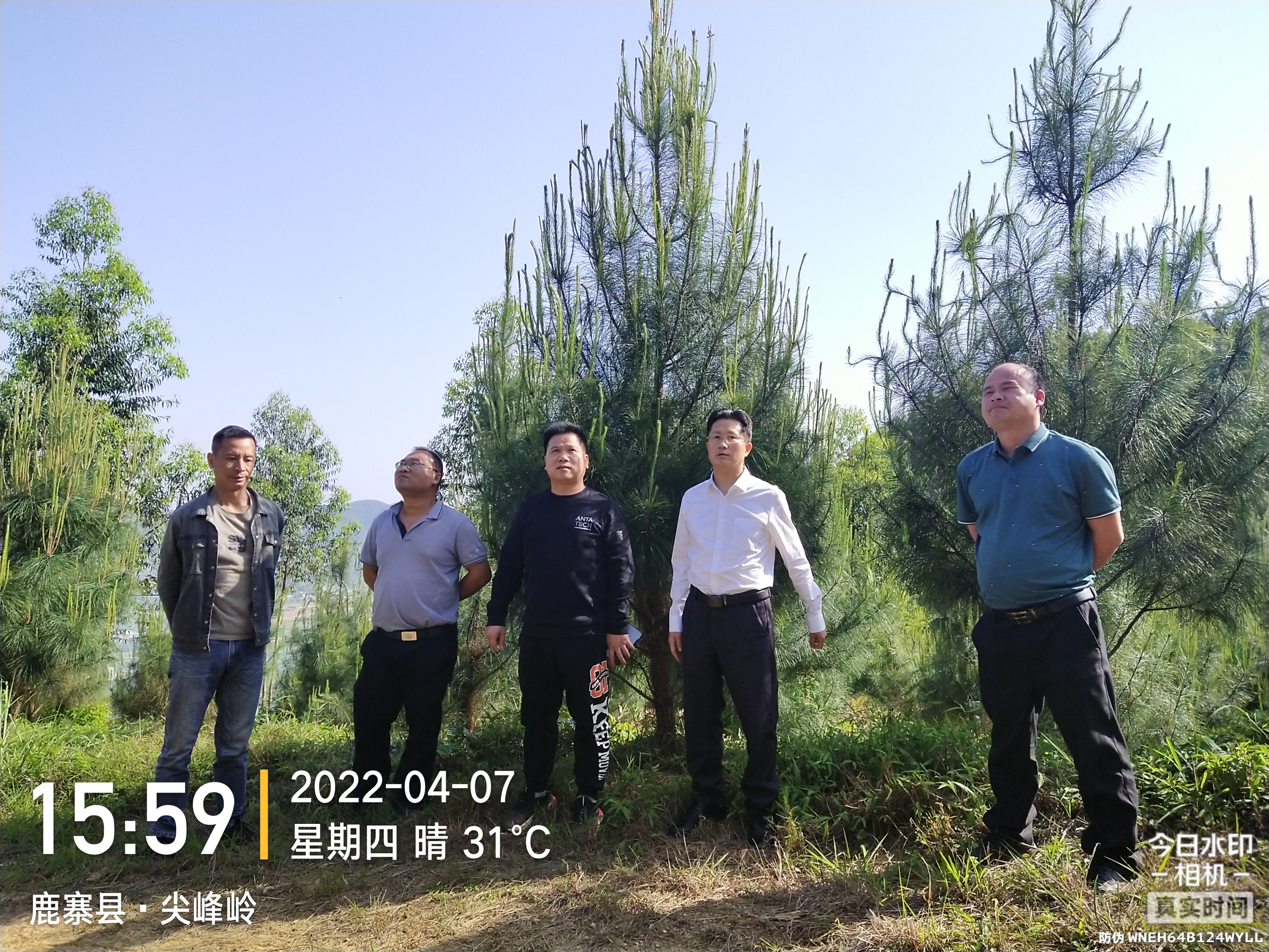 ���Ÿ����³�Ф�縣�����²�ߴ����ֱ�������