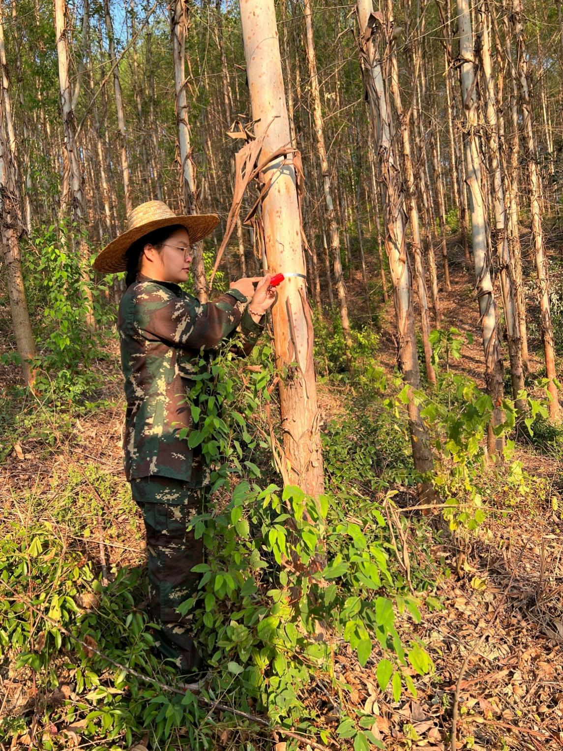 ��������ֺ�����������������̤�����봨��--�¾���ս������һ�ߵĽ�ţ��̳-(�Ĳ���ˮ)��