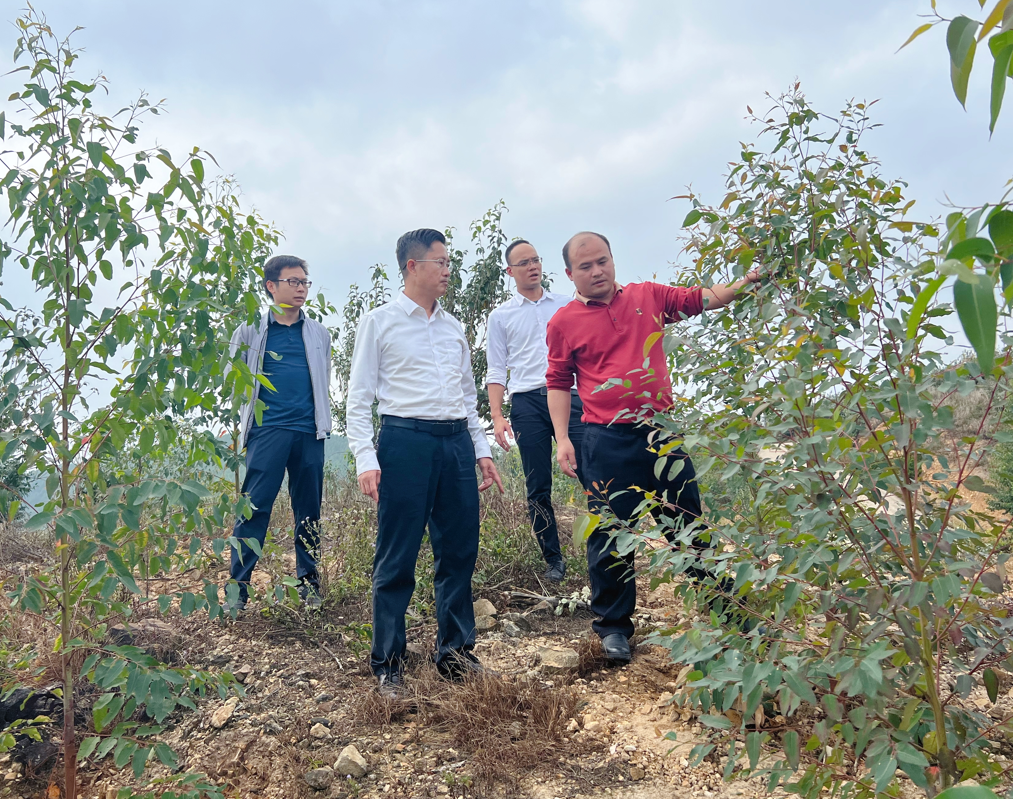 �����³�Ф�縣����ָ���ֵ���ľ�չ���Ӫ����������