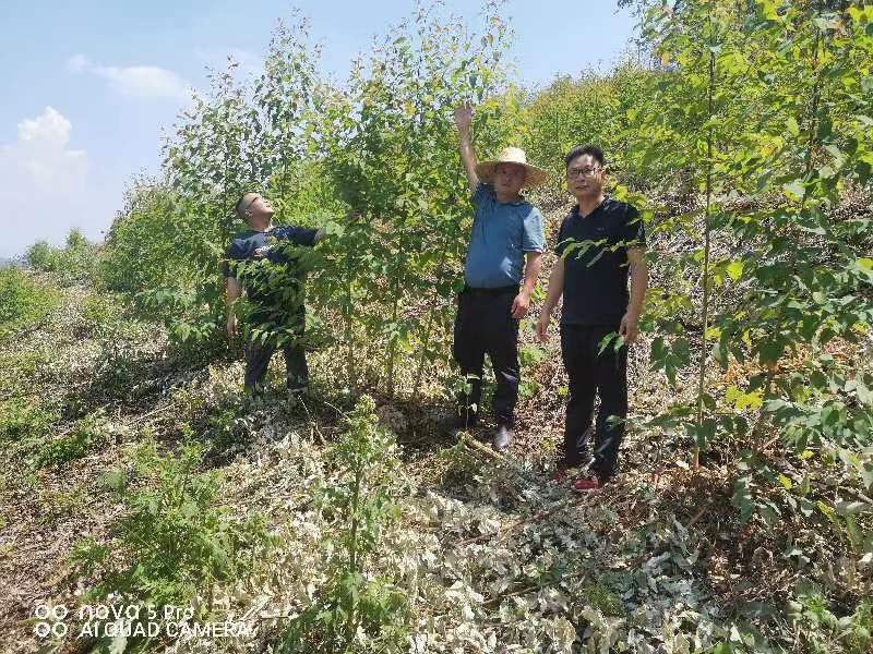 ��������¹կ��������¹կ���ֵؼ��ָ������