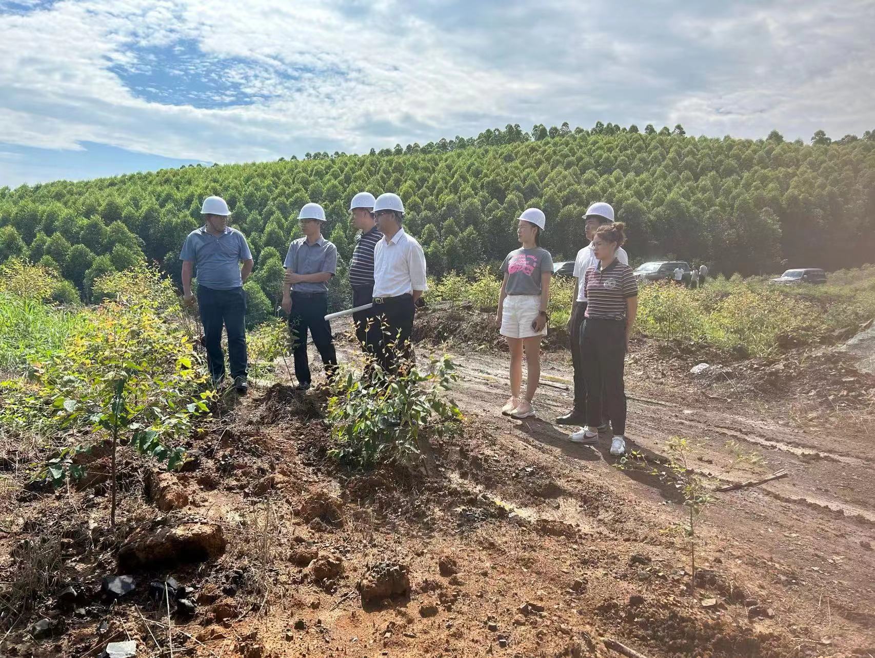 Τ�굽��ƺ��������ָ������