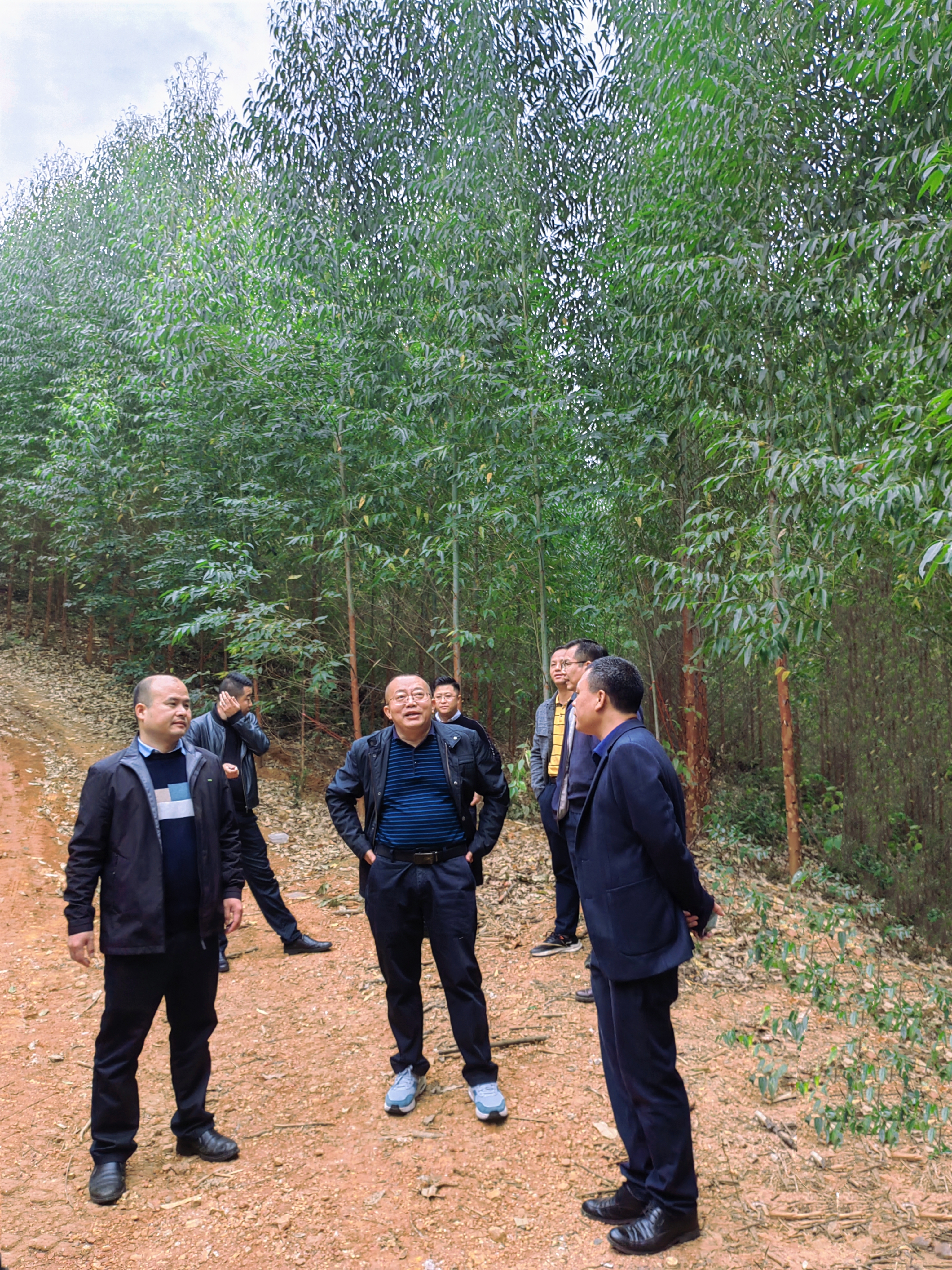 ����Ң���ӵ���ţ��̳-(�Ĳ���ˮ)����¹կ���ֵص���ָ��Ӫ����������