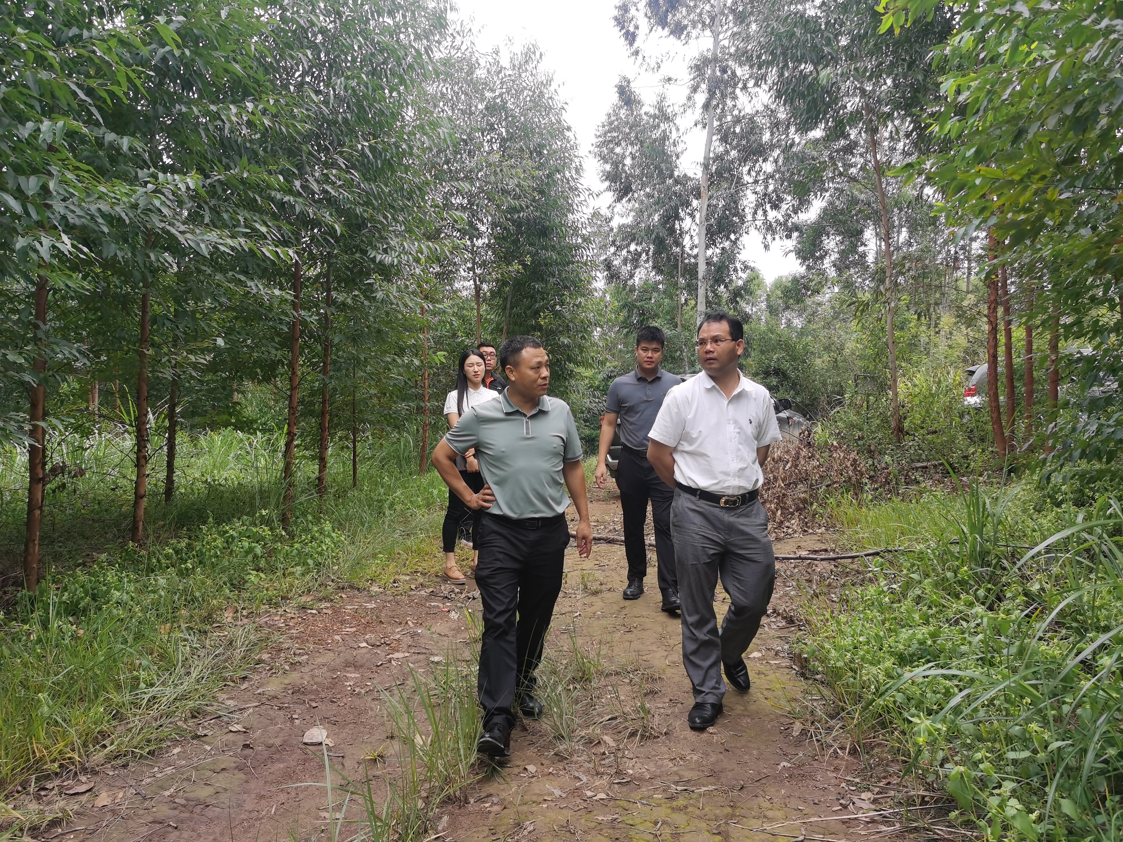 Τ�굽¹կ���ֵغ���ƺ������Ŀ����ָ������