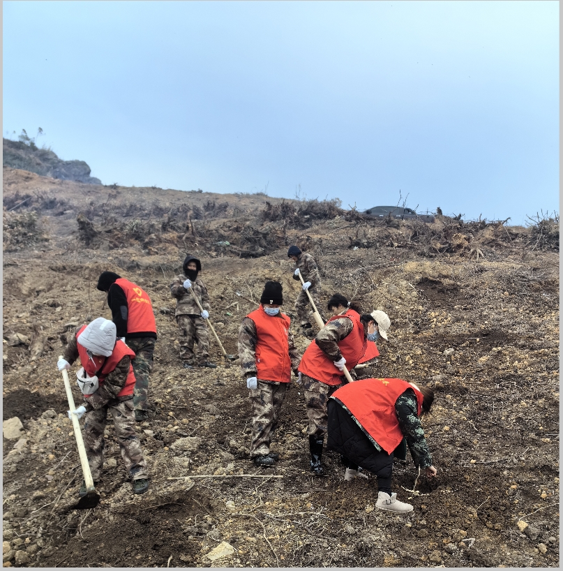 ��ţ��̳-(�Ĳ���ˮ)��ҵ���ſ�չ2024�괺�����ֱ����˶�