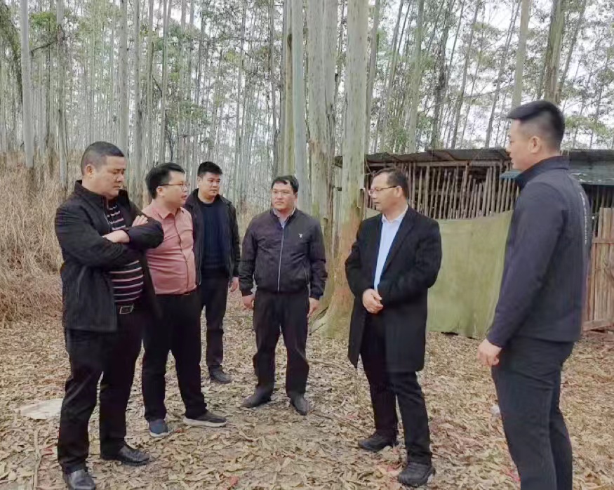 �����򵼴���ǰϦ�����ֵؼ��ָ�����鲢�߷�ο���²�һ��Ա��