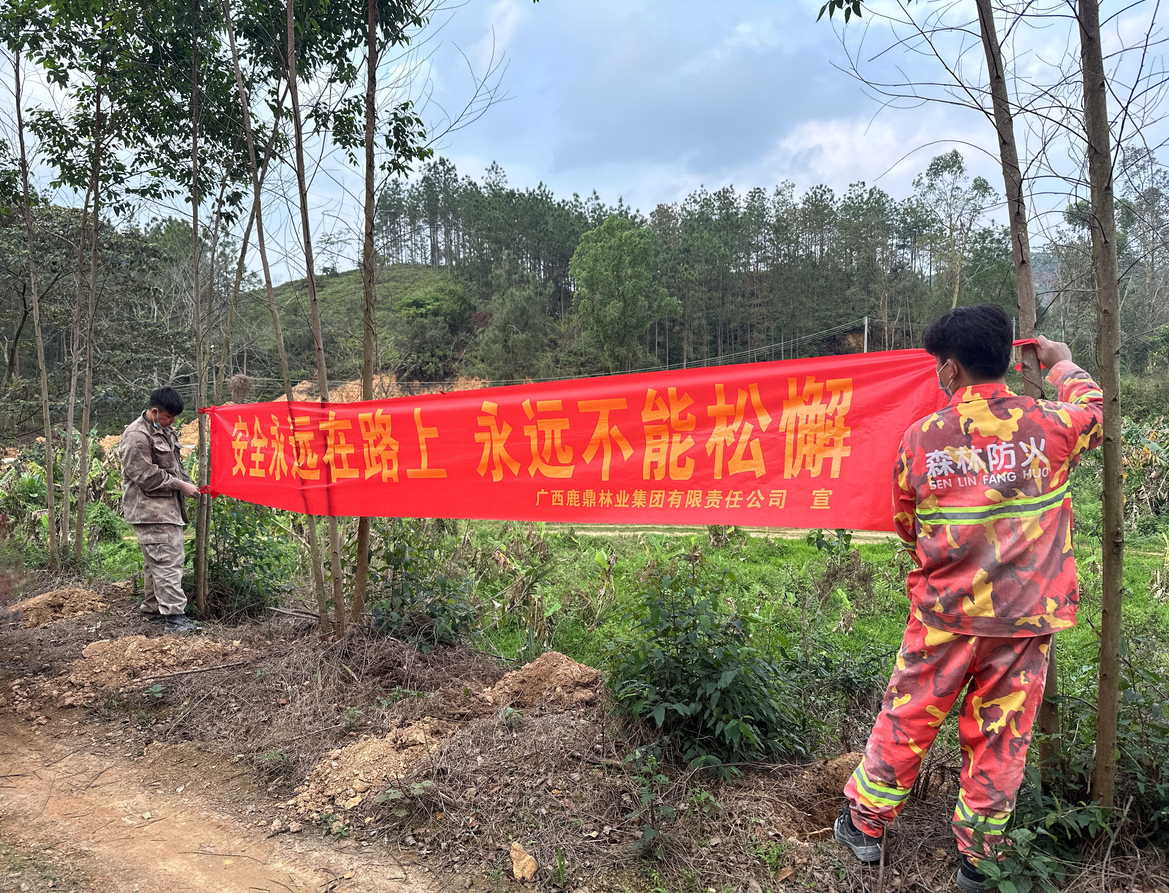 ������и�������������ػ���ɫƽ����