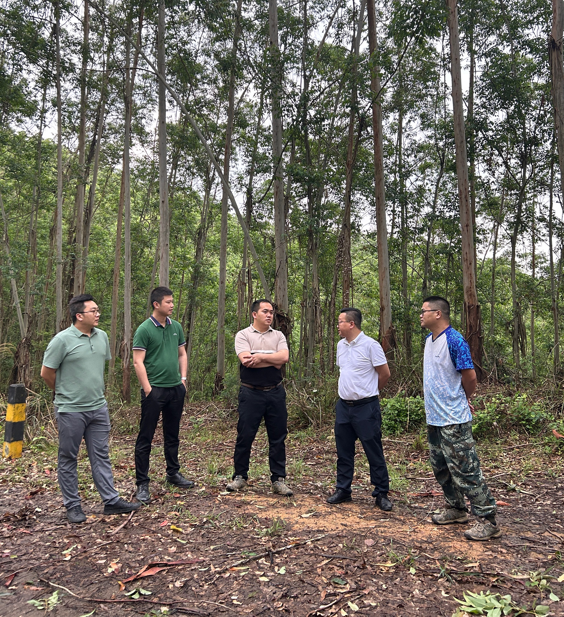 �����򵼵��㶫���ֹ�˾���ָ������