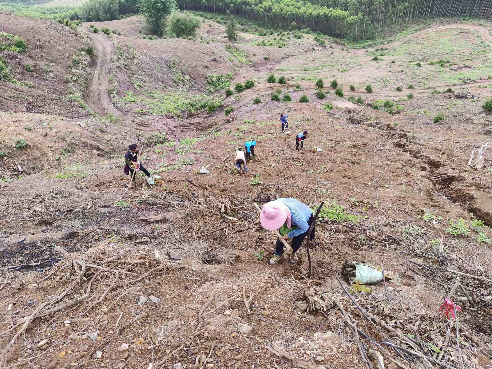 ��ץʱ�ڲ����̣���������������ȫ���ƽ�������