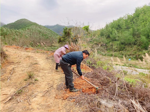 ��ѧ�Ŷ��ʣ���������������������ľ��׳����