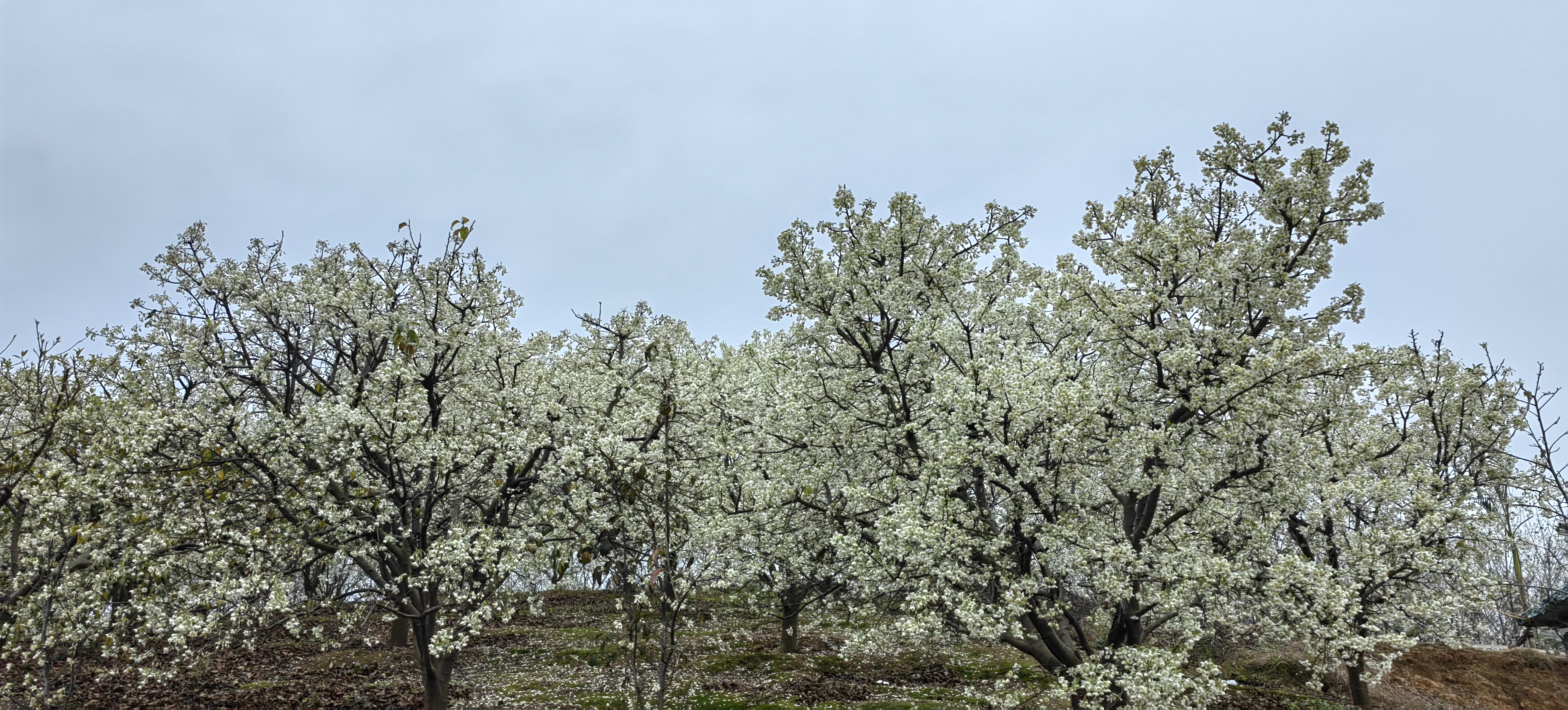 ��Ȼ���������������ѵأ�¹կ��ɽ�֮��������