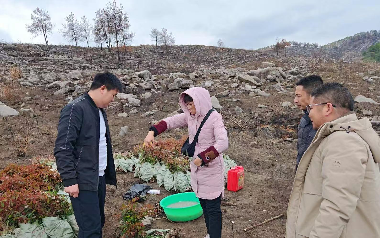 �γ�����¹�ɹ�˾����ˮ���ֵ�ָ��������������