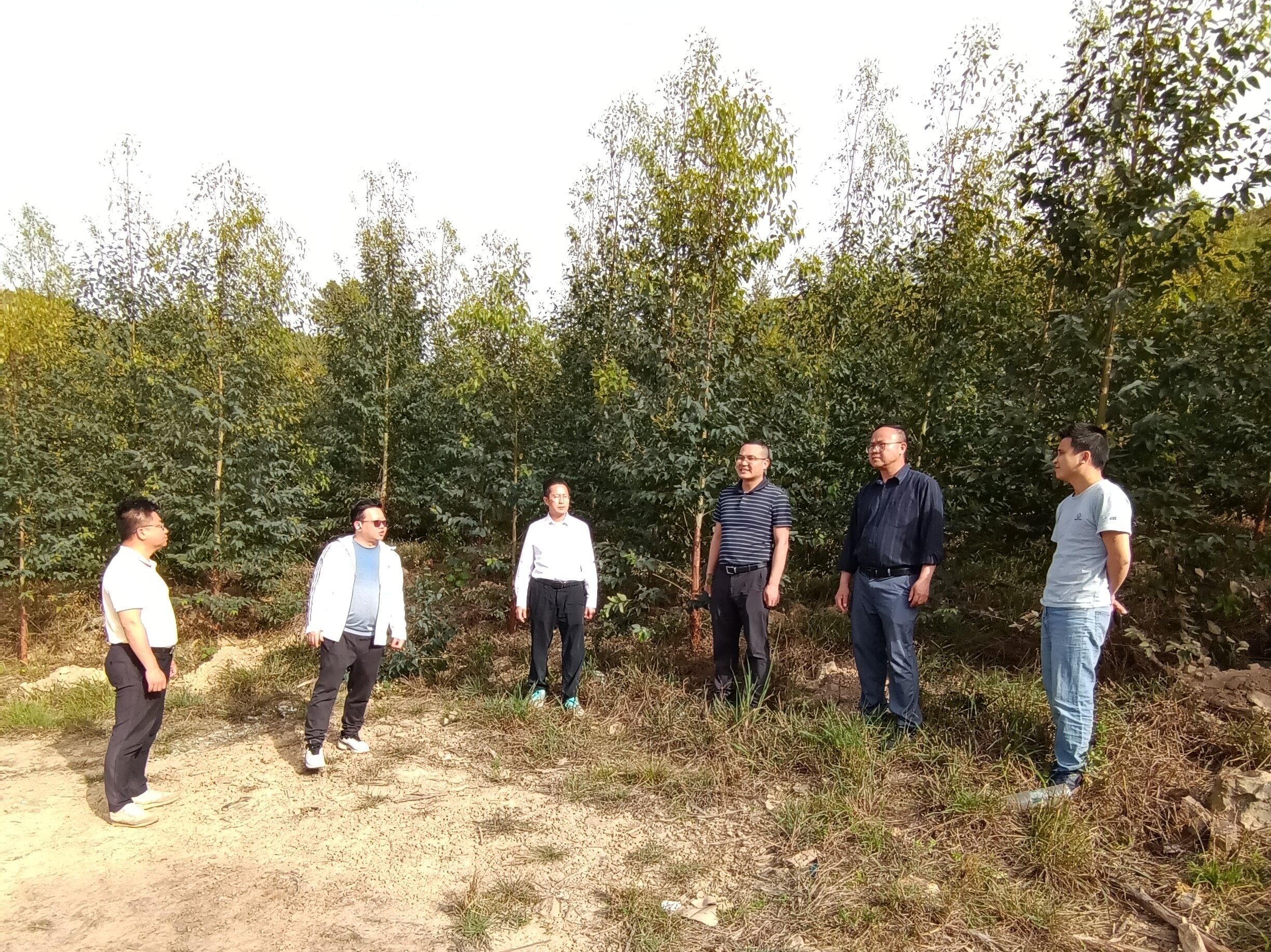 ���Ž��ֳ�������Ф�縣��������������һ�е���ţ��̳-(�Ĳ���ˮ)�����ֵؼ��ָ������