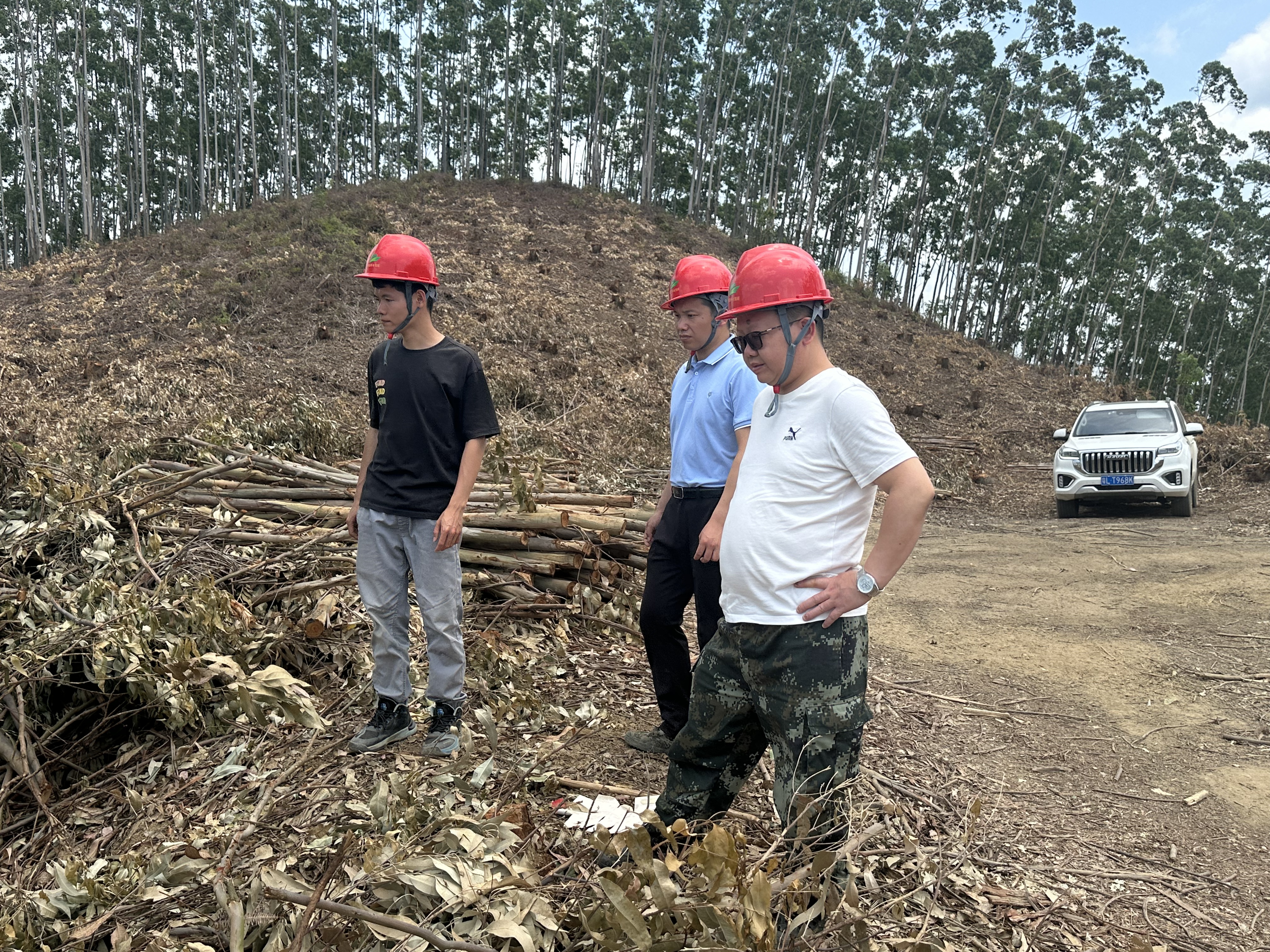 ѹʵ�徲�������� ���뿪չ�Ų�����--��ţ��̳-(�Ĳ���ˮ)���ſ�չ����һ������ �Ͷ���ǰר����