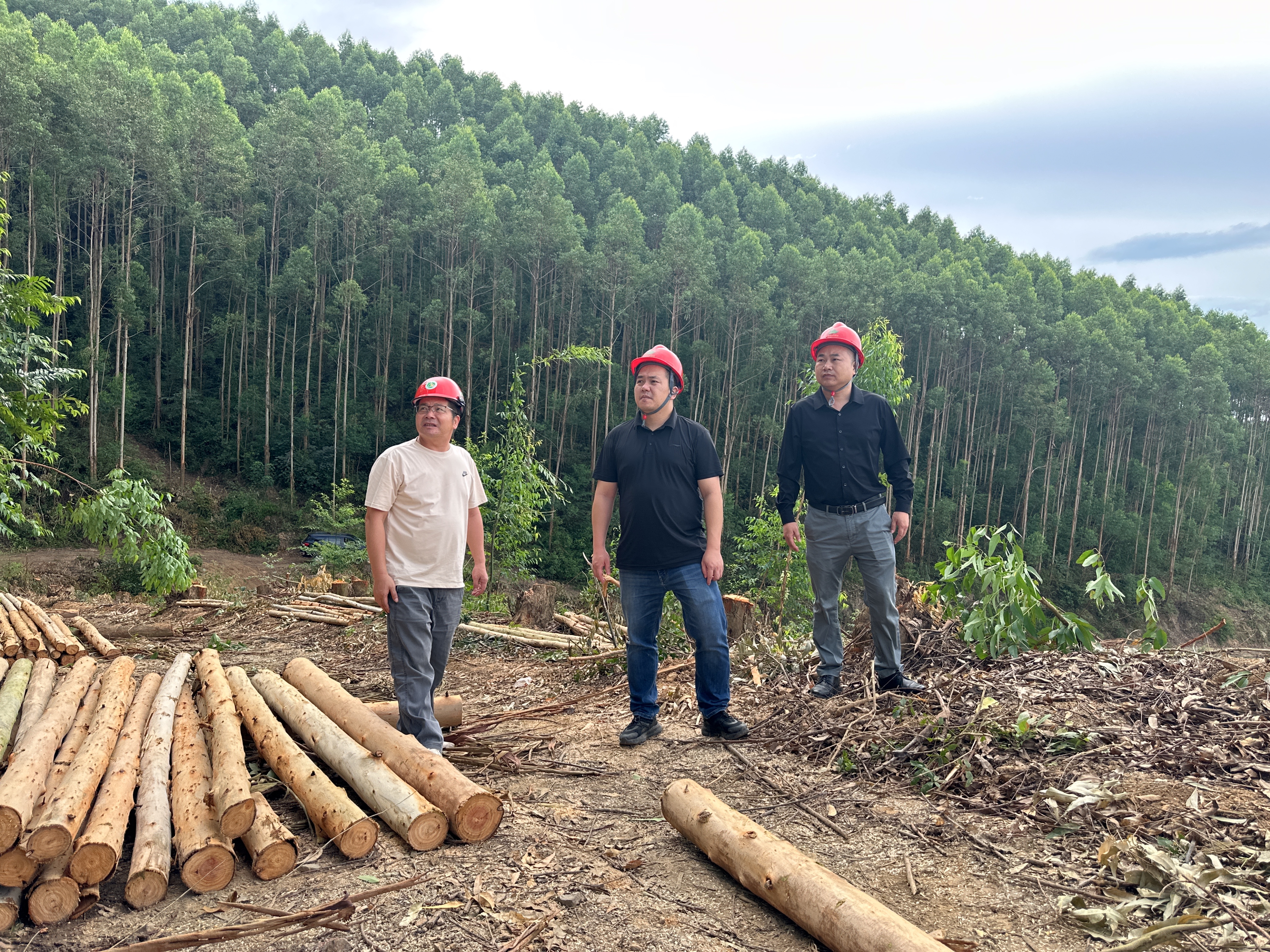 ½�������뷥����չ�徲����ר����