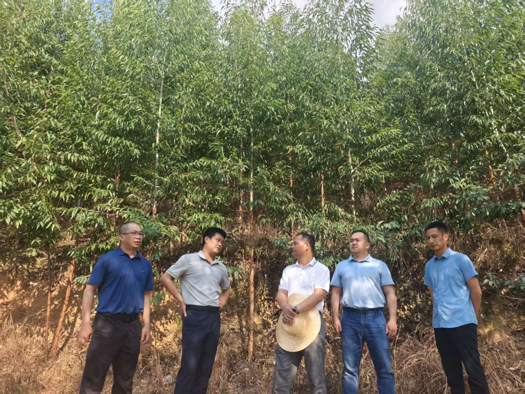 Τ�궭�³�����¹�ɹ�˾�ֵص���ָ��