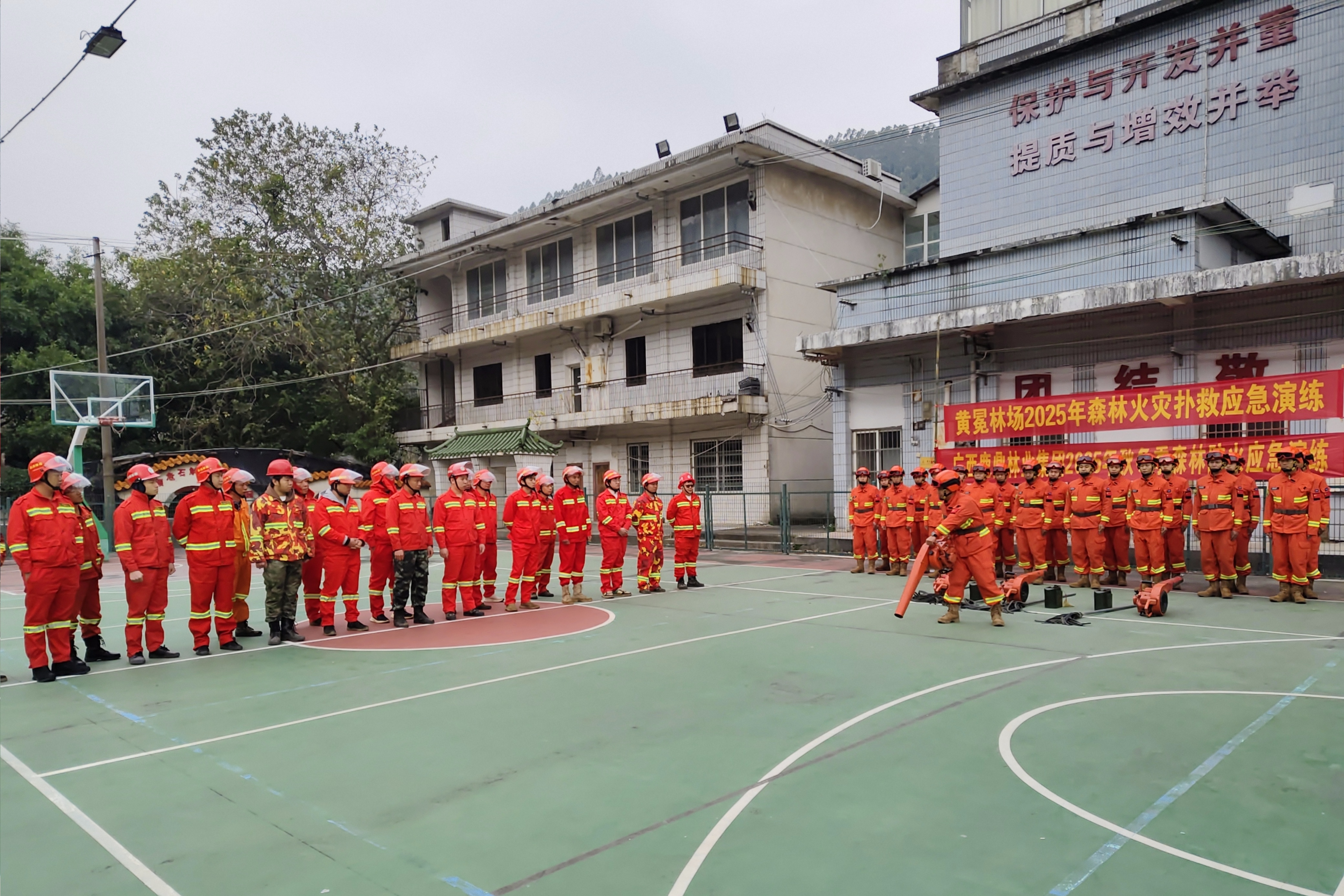 ��ţ��̳-(�Ĳ���ˮ)�����Ž�����ֳ���չ2025��ɭ�ֻ����˾�Ӧ������